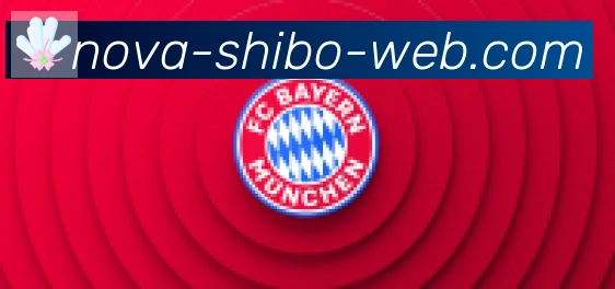 世博体育官网合作伙伴