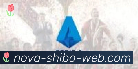 世博体育官网合作伙伴